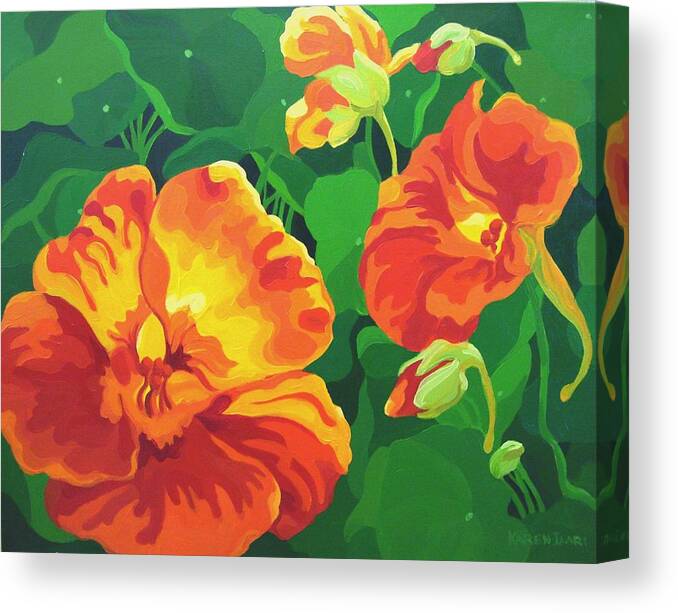 Flower Paintings Canvas Print featuring the painting Nasturtiums by Karen Ilari