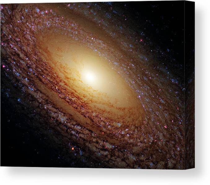 Outer Canvas Print featuring the photograph Ngc 2841 by Ricky Barnard