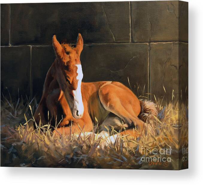 Horse Canvas Print featuring the painting Nightlight by Jeanne Newton Schoborg