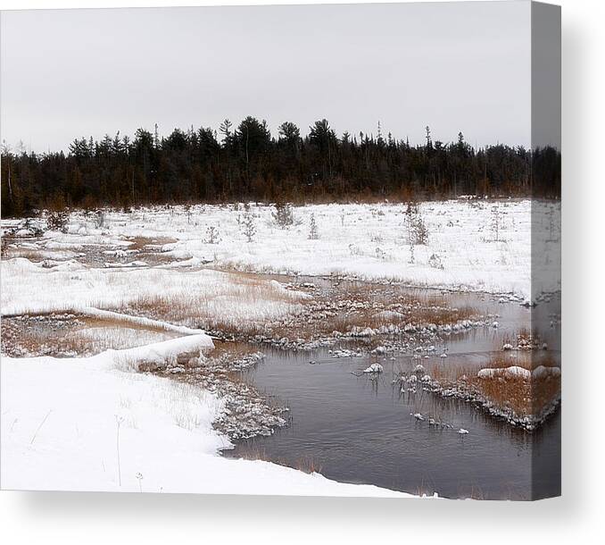 Hovind Canvas Print featuring the photograph Norwegian Creek by Scott Hovind