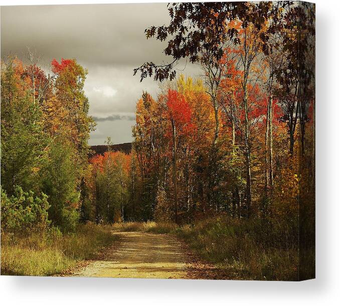 Wv Canvas Print featuring the photograph October in West Virginia by Ulrich Burkhalter