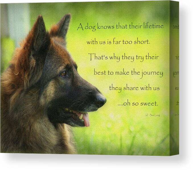 Dogs Canvas Print featuring the photograph Oh So Sweet by Sue Long