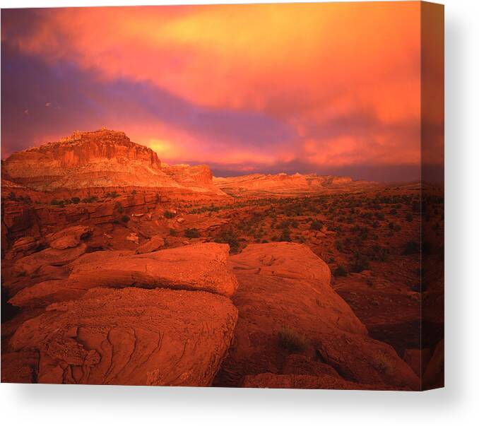 National Park Canvas Print featuring the photograph Once in a Lifetime by Ray Mathis