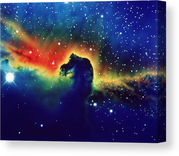 Horsehead Nebula Canvas Print featuring the photograph Optical Photo Of Horsehead Nebula by Science Photo Library