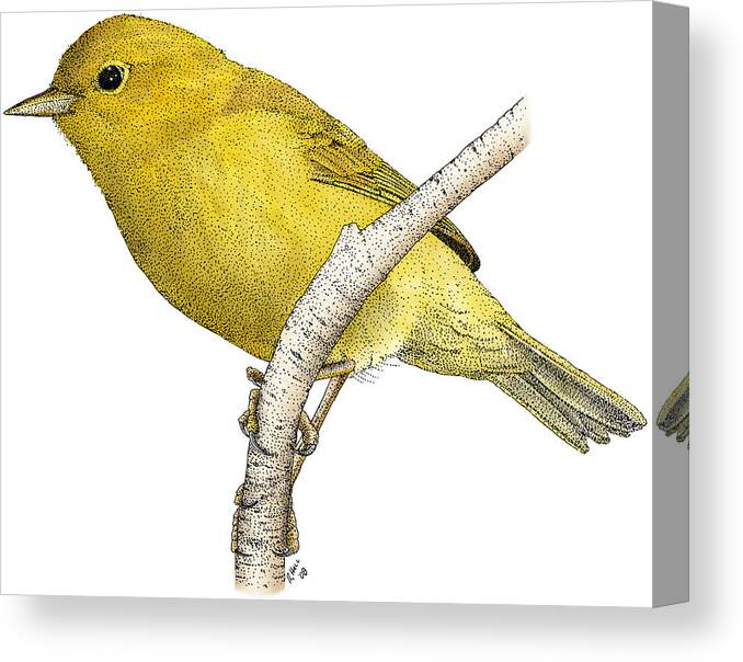 Art Canvas Print featuring the photograph Orange-crowned Warbler by Roger Hall