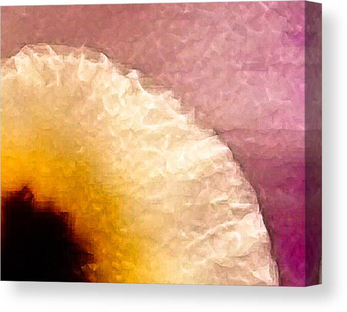 Flowers Orchid Abstract Croppings Cropped Crop Pink Magenta Yell Canvas Print featuring the photograph Orchid Abstract-5 by David Coblitz
