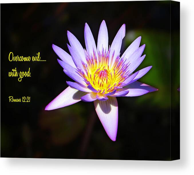 Scripture Canvas Print featuring the photograph Overcome Evil by Bill Barber