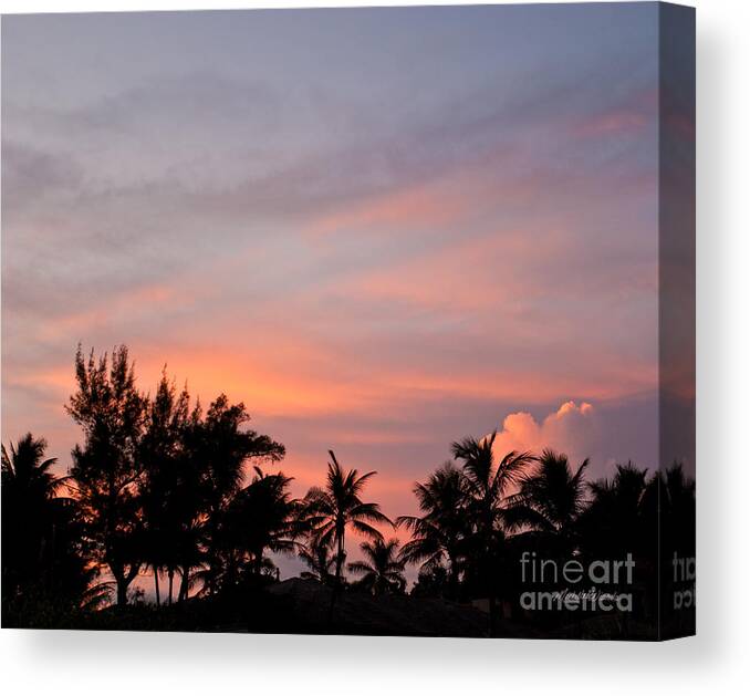 Painted Tropical Sky Canvas Print featuring the photograph Painted Tropical Sky by Michelle Constantine