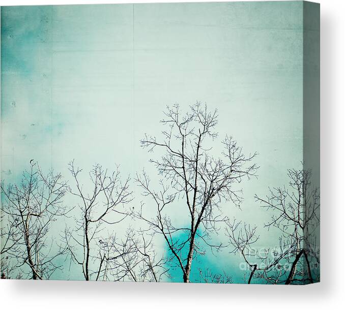 Sky Canvas Print featuring the photograph Partly Cloudy Skies by Kim Fearheiley