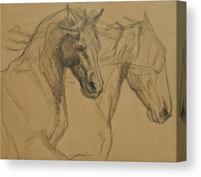 Horse Art Canvas Print featuring the drawing Peace And Justice Sketch by Jani Freimann
