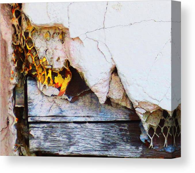 Texture Canvas Print featuring the photograph Peel by Jessica Levant