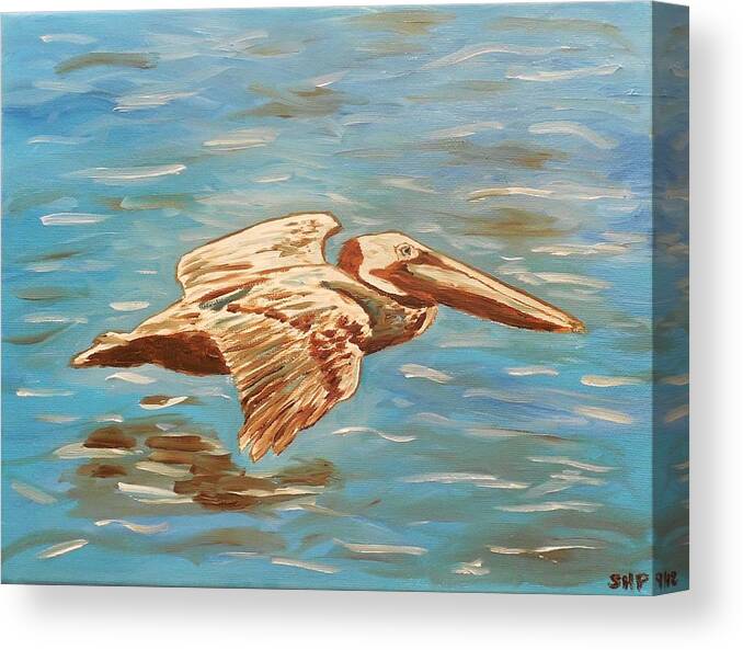 Pelican Canvas Print featuring the painting Pelican Skimming by Stacey Pollio