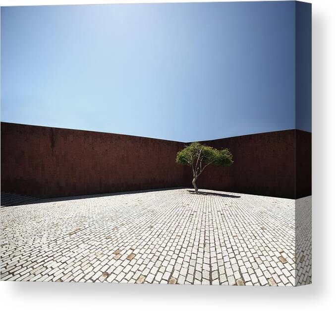 City Canvas Print featuring the photograph Perspective View On Square With Tree by Stanislaw Pytel