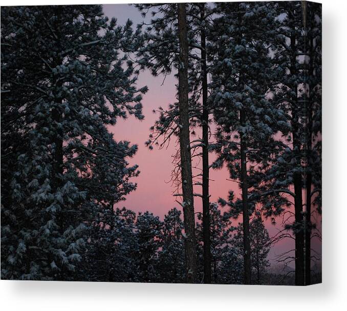 Dakota Canvas Print featuring the photograph Pink Mountain Morning by Greni Graph