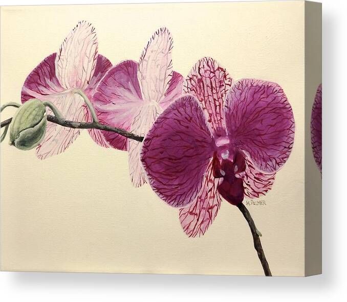 Orchid Canvas Print featuring the painting Pink Orchid by Mary Palmer