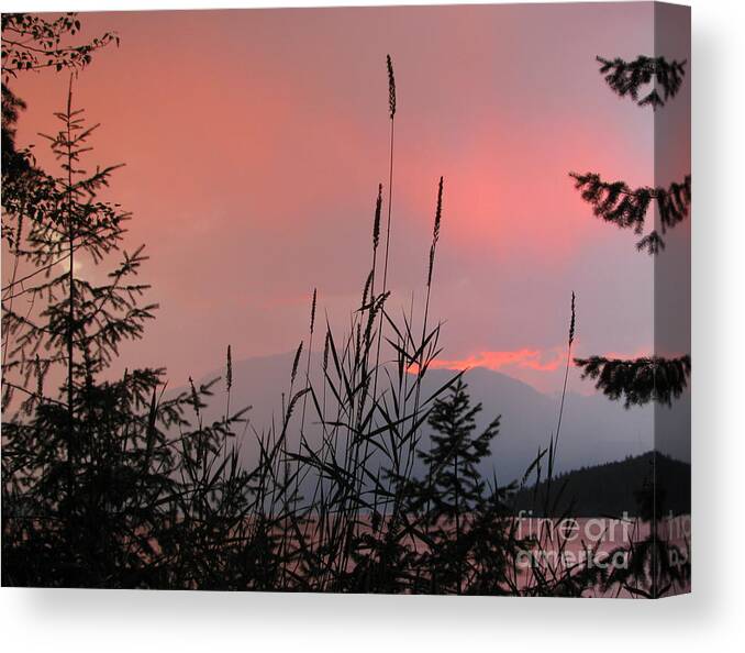 Kootenay Lake Canvas Print featuring the photograph Pink Sky and Grasses by Leone Lund