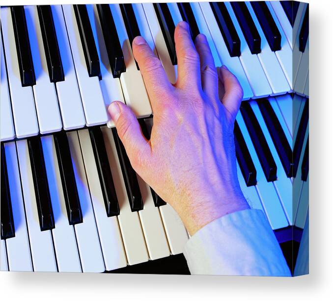 Chord Canvas Print featuring the photograph Playing The Electric Organ by Martin Bond/science Photo Library