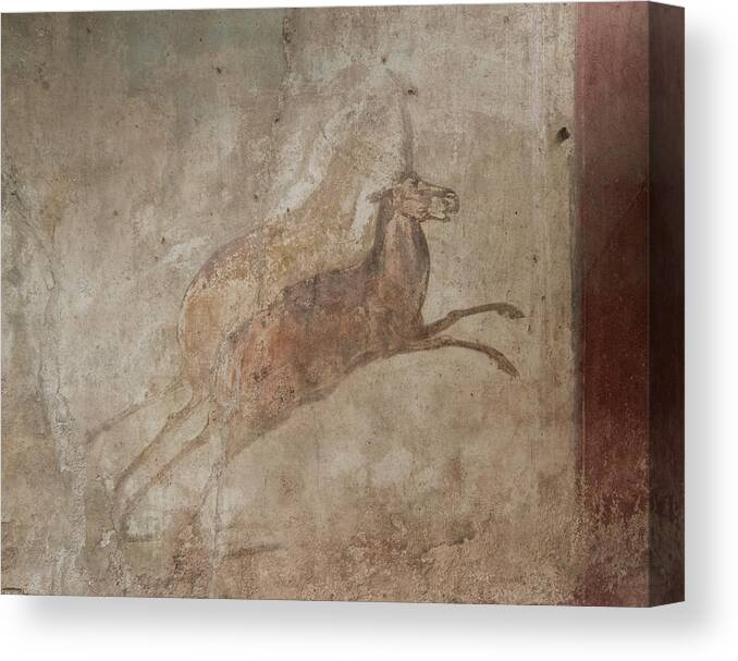 Pompeii Fresco Canvas Print featuring the photograph Pompeii Animal Fresco by Roger Mullenhour