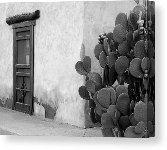 Las Cruces New Mexico Canvas Print featuring the photograph Prickly Passage by Jim Snyder