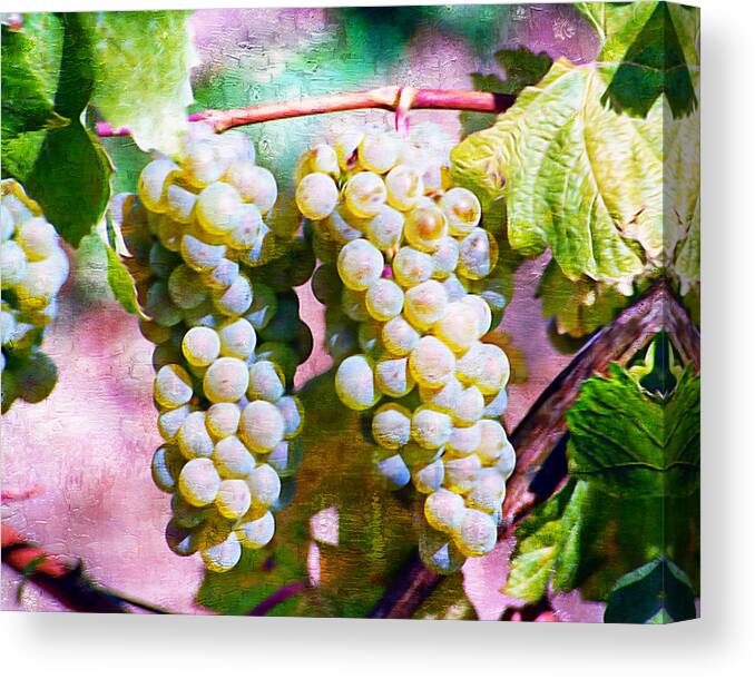 Wine Grapes Canvas Print featuring the digital art Ready To Be Picked Gold I by Ken Evans