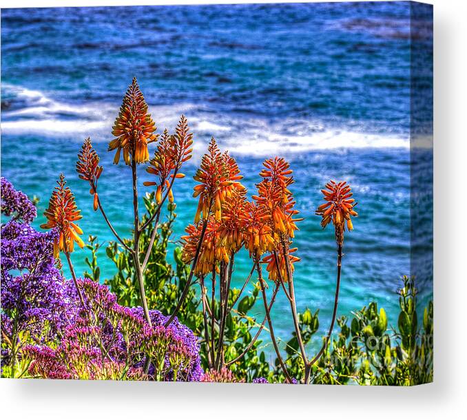 Red Canvas Print featuring the photograph Red Aloe by the Pacific by Jim Carrell