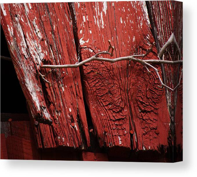 Red Barn Canvas Print featuring the photograph Red Barn Wood with Dried Vine by Rebecca Sherman