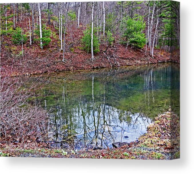 Nature Canvas Print featuring the photograph Reflection in the Lake by Dawn Gari