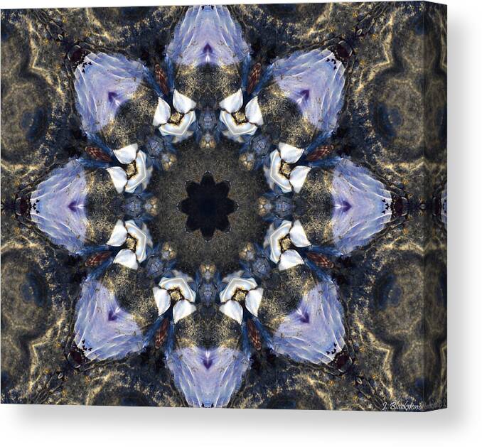 Abstract Canvas Print featuring the photograph Reflection - Kaleidoscope Art by Jordan Blackstone