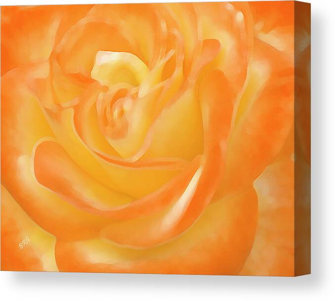Rose Canvas Print featuring the photograph Rose by Ben and Raisa Gertsberg