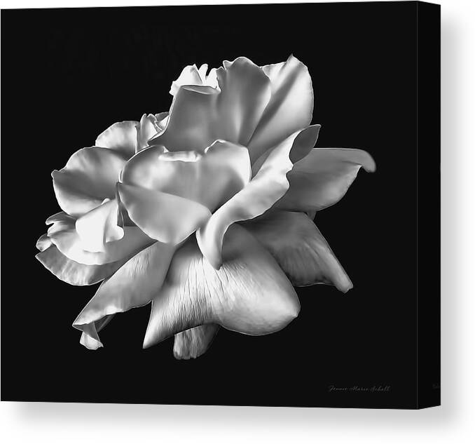 Rose Canvas Print featuring the photograph Rose Petals in Black and White by Jennie Marie Schell