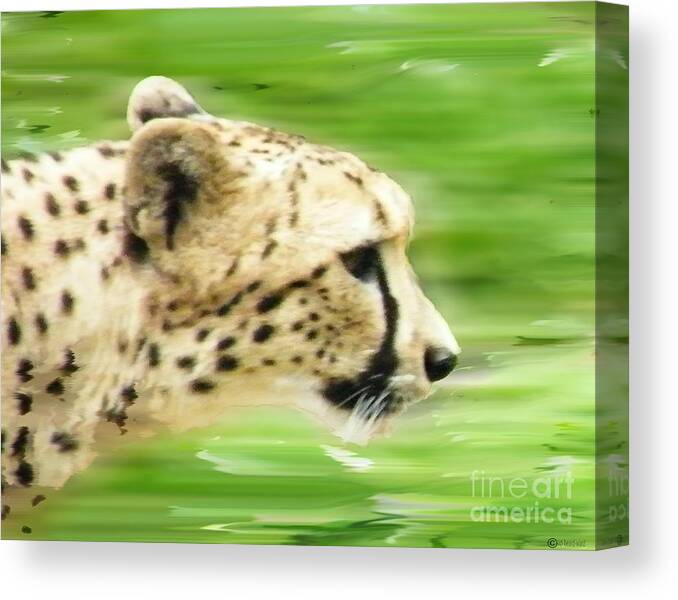  Canvas Print featuring the digital art Run Cheetah Run by Lizi Beard-Ward