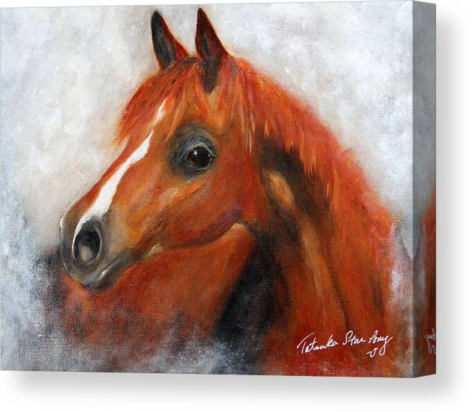 Sorrel Horse Canvas Print featuring the painting Scarlett by Barbie Batson