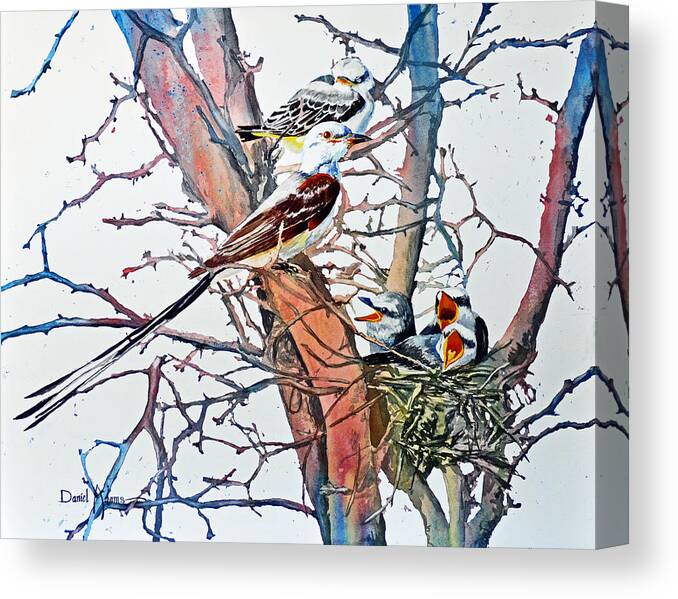 Birds Canvas Print featuring the painting Scissortail Flycatchers by Daniel Adams