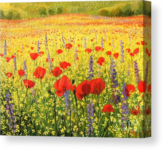 Agriculture Canvas Print featuring the painting Sea of Blossom by Kiril Stanchev