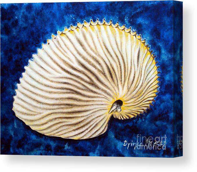 Original Painting Shell Canvas Print featuring the painting Sea Shell Original Oil on Canvas No.2. by Drinka Mercep