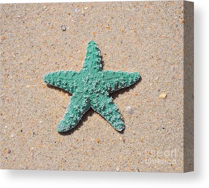 Sea Star Canvas Print featuring the photograph Sea Star - Aqua by Al Powell Photography USA