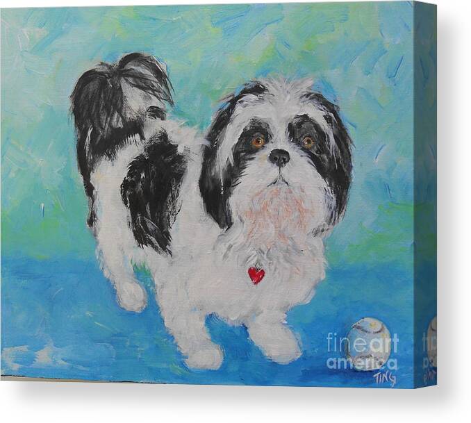 Shih Tzu Canvas Print featuring the painting Shih Tzu Yoda by Doris Blessington