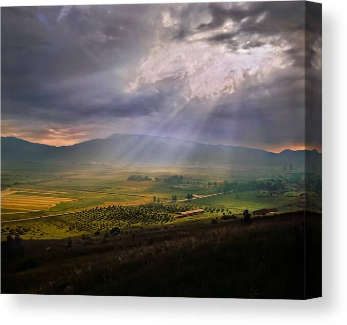 Serbia Canvas Print featuring the photograph Shumadia after the rain. Serbia by Juan Carlos Ferro Duque