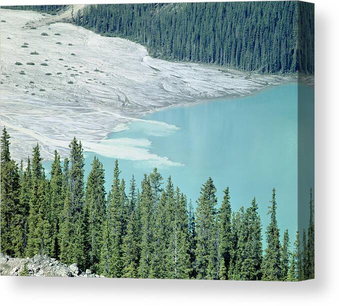 Silt Canvas Print featuring the photograph 1M3531-Silt Entering Peyto Lake by Ed Cooper Photography