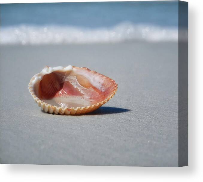 Crystal Yingling Canvas Print featuring the photograph Simple Things by Ghostwinds Photography