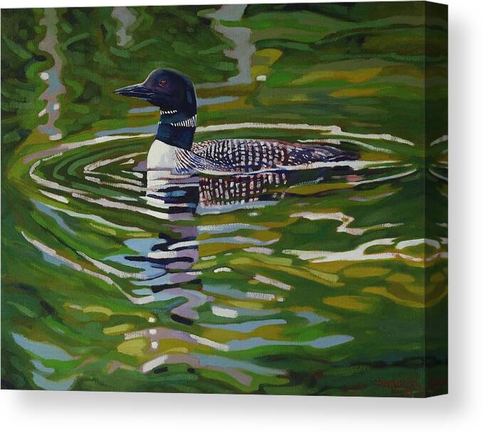 Chadwick Canvas Print featuring the painting Singleton Loon by Phil Chadwick