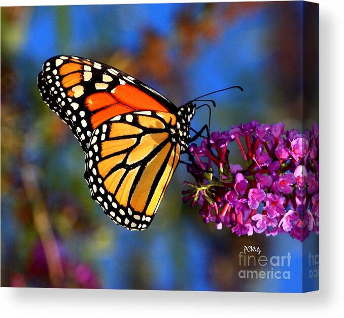 Sipping Canvas Print featuring the photograph Sipping Monarch by Patrick Witz