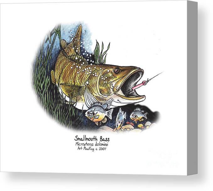 Fish Canvas Print featuring the mixed media Smallmouth Bass by Art MacKay