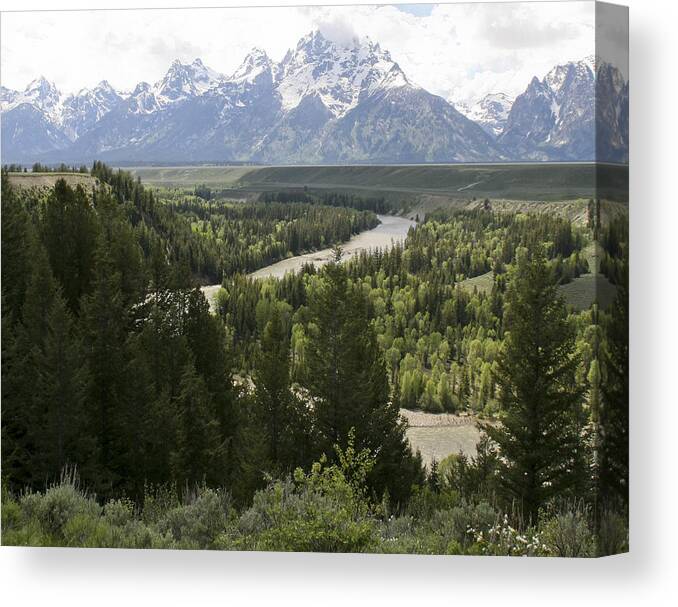 Grand Tetons Canvas Print featuring the photograph Snake River by Eric Cross