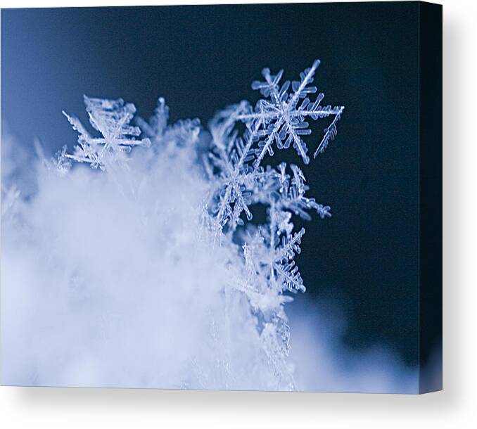 Snowflakes Canvas Print featuring the photograph Snowflakes 4 by Jeff Klingler