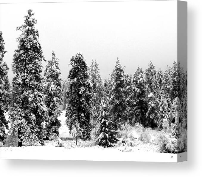 Snowy Morn Canvas Print featuring the photograph Snowy Morn by Will Borden