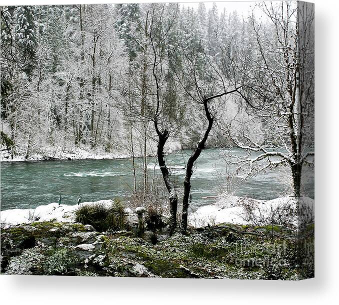 River Canvas Print featuring the photograph Snowy River and Bank by Belinda Greb