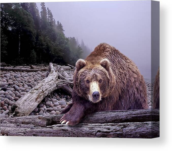 Art Canvas Print featuring the photograph Some Days You Eat the Bear Some Days the Bear Eats You by Randall Nyhof