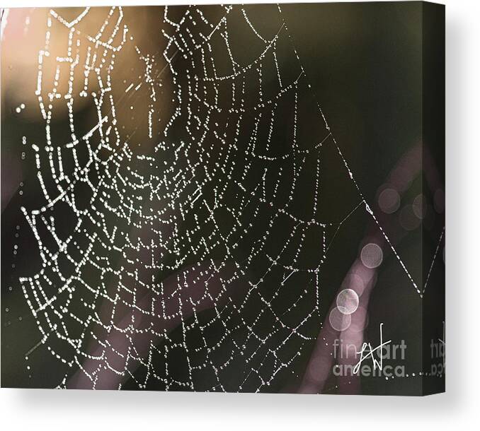 Spider Web Canvas Print featuring the photograph Spiderweb Green by Artist and Photographer Laura Wrede