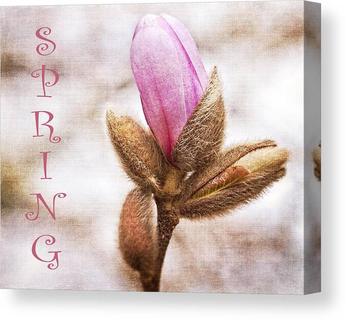 Text Canvas Print featuring the photograph Spring by Cathy Kovarik